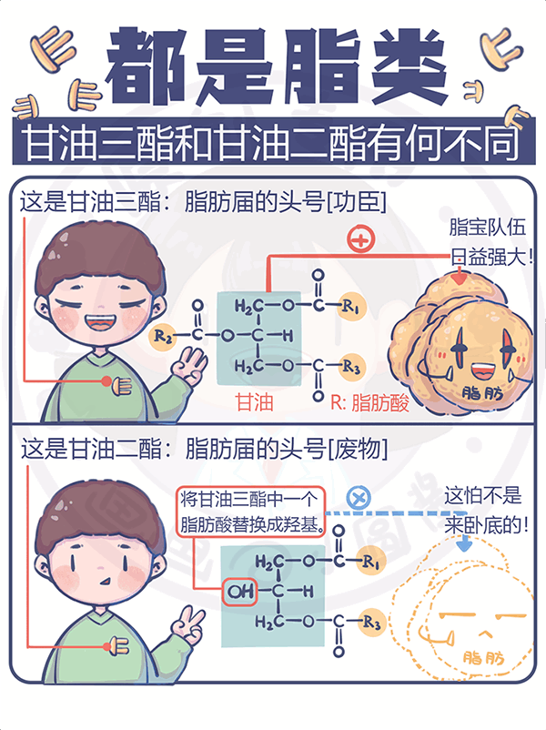 都是脂類(lèi)甘油三酯和甘油二酯有何不同？